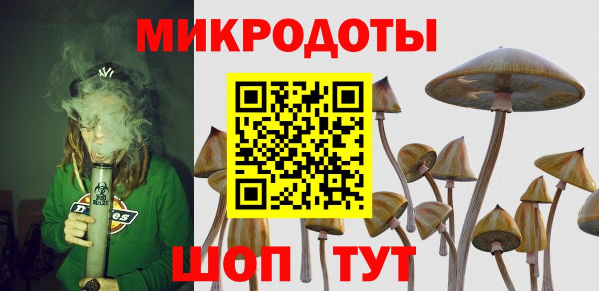 Псилоцибиновые грибы Psilocybine cubensis Геленджик